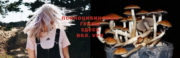 jwh Нефтегорск