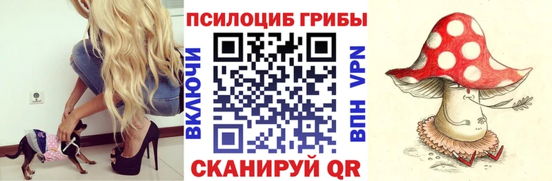 Псилоцибиновые грибы Cubensis  Химки 