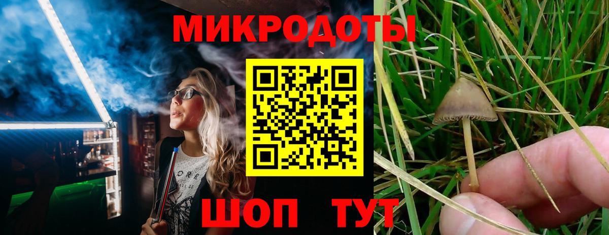Химки  Галлюциногенные грибы MAGIC MUSHROOMS  Псилоцибиновые грибы Psilocybine cubensis  Вход с VPN 
